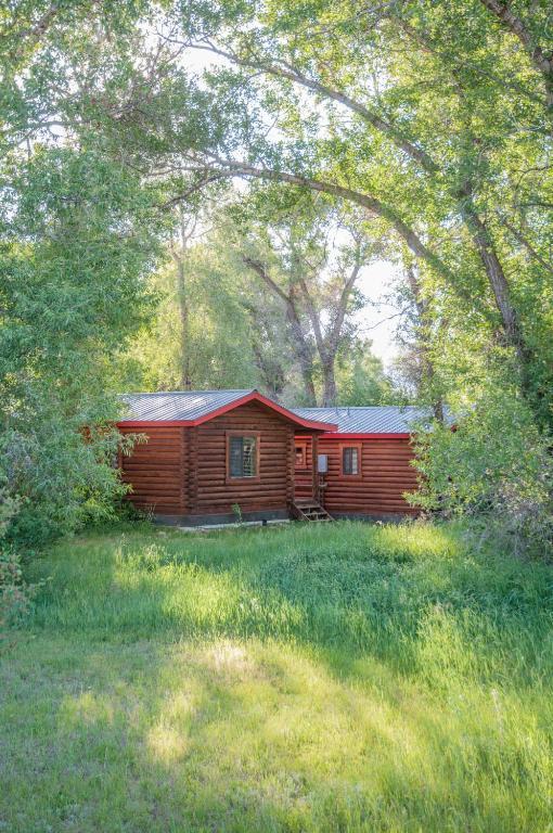 דריגס Teton Valley Cabins חדר תמונה
