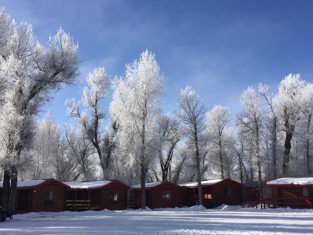 דריגס Teton Valley Cabins מראה חיצוני תמונה