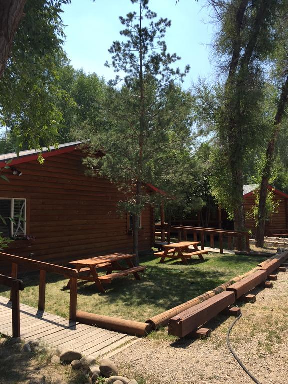 דריגס Teton Valley Cabins מראה חיצוני תמונה