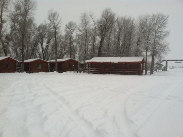 דריגס Teton Valley Cabins מראה חיצוני תמונה