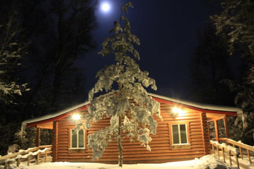 דריגס Teton Valley Cabins מראה חיצוני תמונה